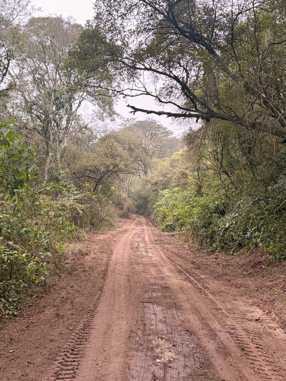 Tramo de la traza despejado cerca del obrador La Esperanza