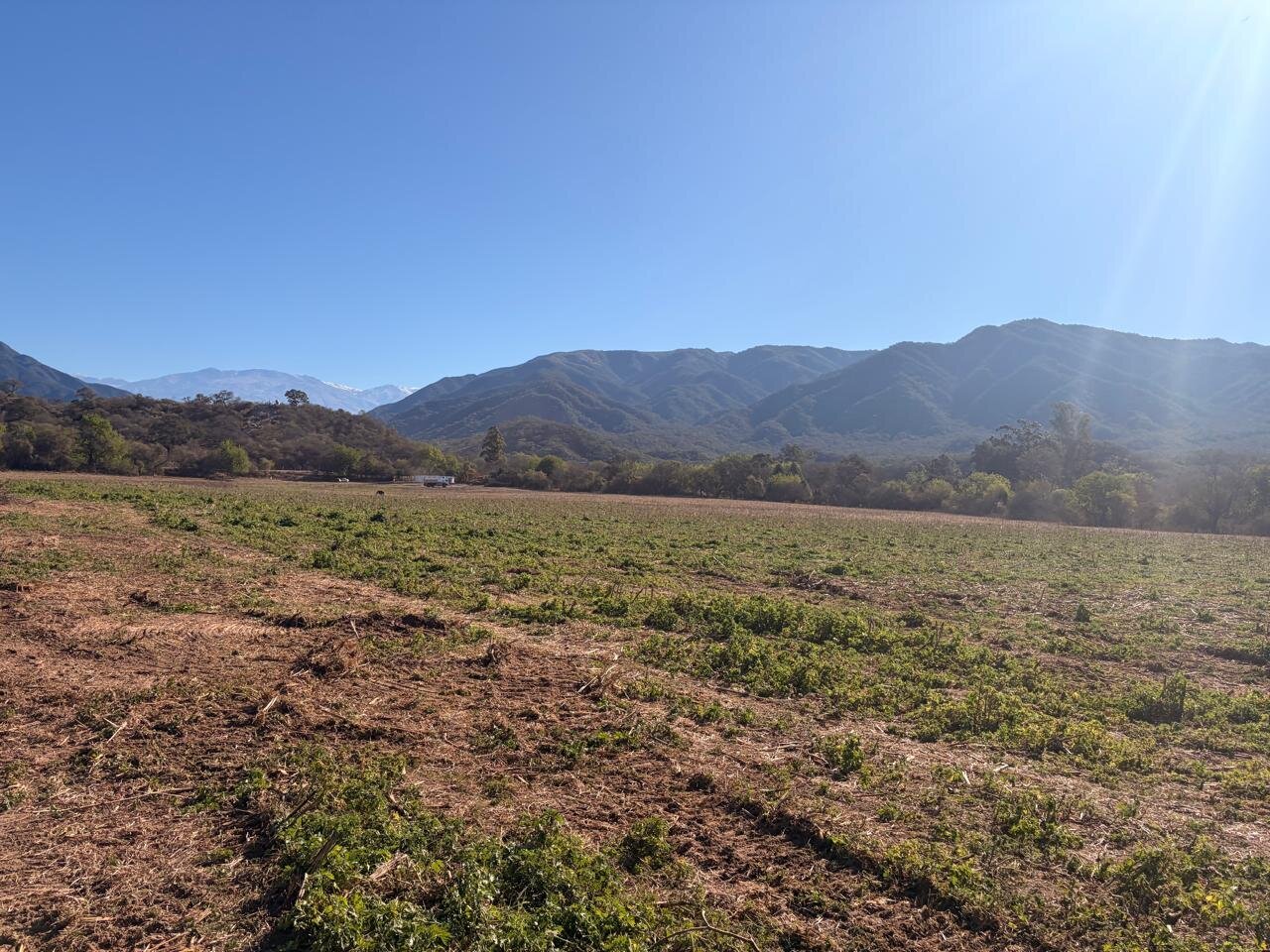 Trabajos de acondicionamiento en el predio de la Planta Potabilizadora