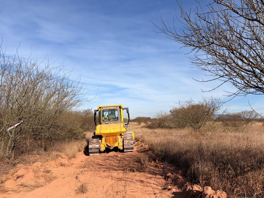 Topadora abriendo camino entre la vegetación de la traza