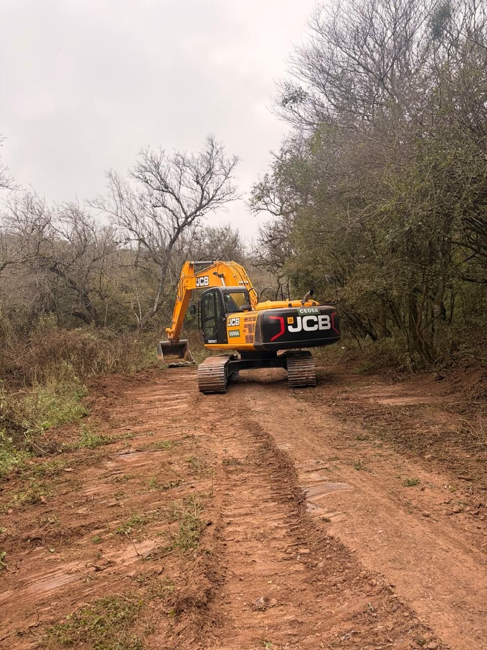 Retroexcavadoras JCB de CEOSA trabajando en el frente de obra