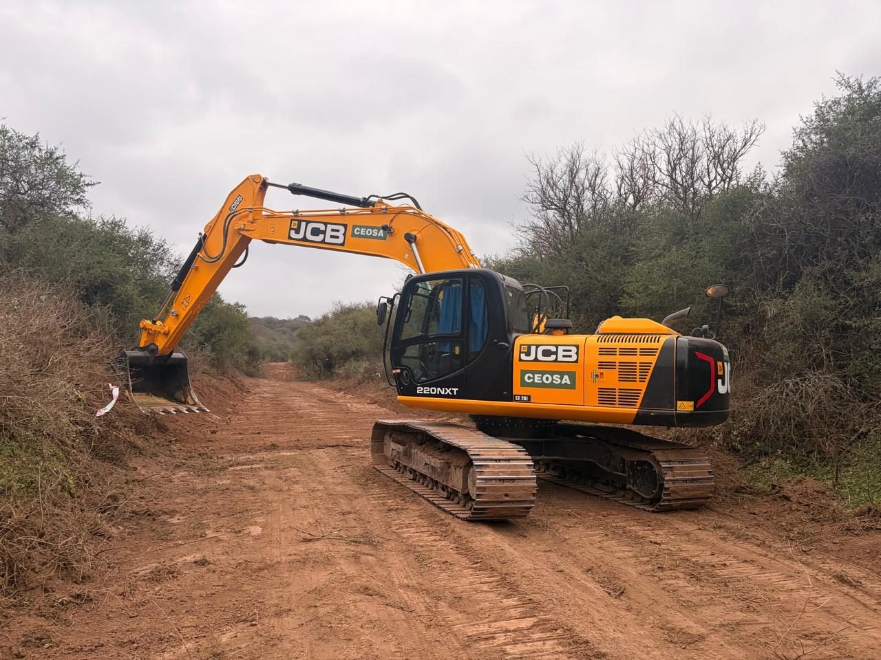 Retroexcavadora JCB CEOSA avanzando por el camino despejado