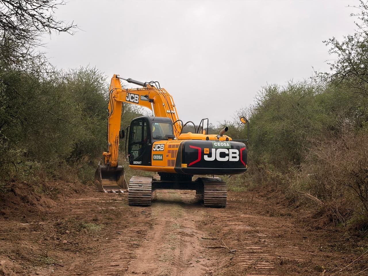 Retroexcavadora JCB CEOSA 220NXT sobre la traza